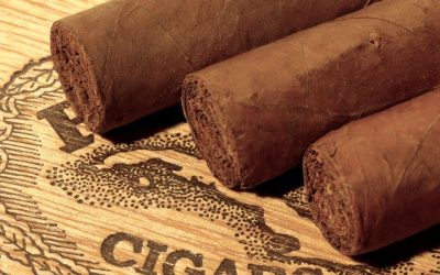 Meilleurs cigares à acheter en Laponie : Le guide ultime pour les amateurs de cigares