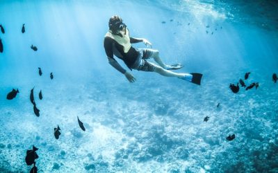 Plongée en Laponie : Les Meilleurs Spots à Explorer