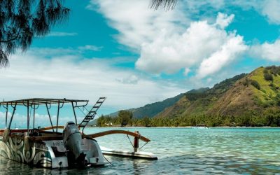 Vie locale en Laponie : Immersion et Conseils pour une Expérience Inoubliable