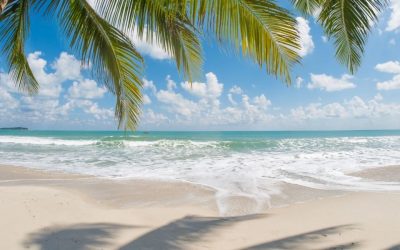 Voyage en Laponie : conseils et bons plans pour une aventure magique