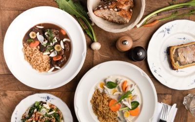 Voyage gastronomique Laponie : parcours culinaire