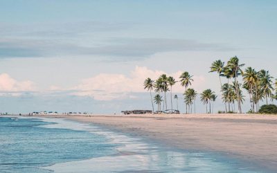 Laponie ou République Dominicaine : Quel Voyage Choisir en 2025 ?