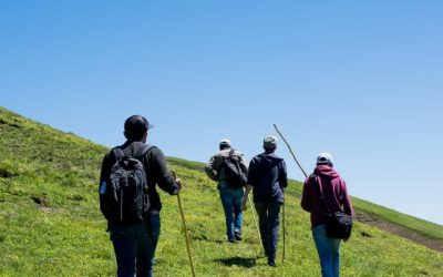 Excursions à San Salvador en Laponie: un voyage imaginaire au cœur du cercle polaire