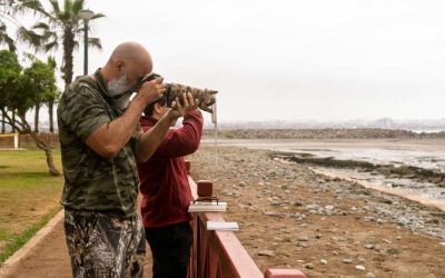 Observation des oiseaux en Laponie: les lieux où le silence laisse place aux ailes du Nord