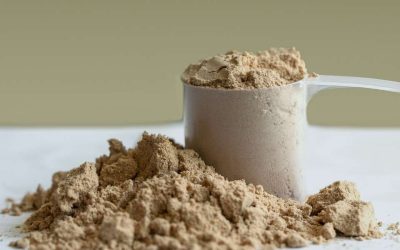 Whey isolate en Laponie : besoins en protéines et climat froid, ce qu’il faut savoir
