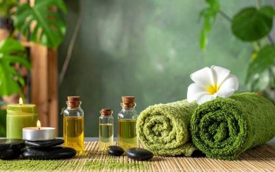 Séjour wellness Laponie : quels spas nordiques offrent une détente absolue ?