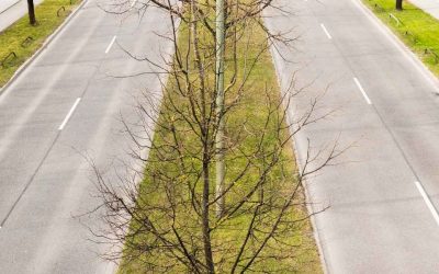 Voyage Laponie sans voiture : comment explorer facilement les paysages enneigés ?