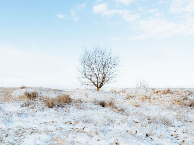 Profitez des offres Civitatis pour votre hiver en Laponie