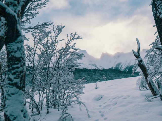 Nouvelles tendances du bivouac hivernal en Laponie pour 2026